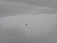 фото thumb №11, Volvo xc60 ii 2 17- капот кришка двигуна