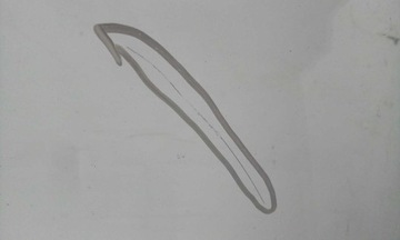 фото thumb №4, Стекло лобовое передняя mercedes c-klasa w204 2007-2014 датчик оригинальная