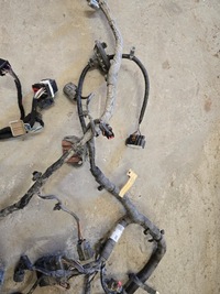 фото thumb №8, Ford f150 5.0b 15-20 жгут электропроводка перед usa hl3t-12a581-anf