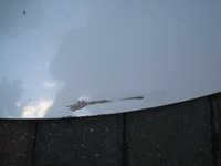 фото thumb №11, Капот honda civic ix 2012-2016r оригинал