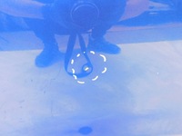 фото thumb №5, Audi a6 c7 4g s6 rs6 дверь правое задняя kombi ly5q