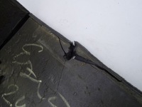 фото thumb №4, Iveco stralis e3/4/5 бардачок pod łóżkiem середина