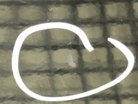 фото thumb №4, Крышка багажника задняя dodge caliber хэтчбек