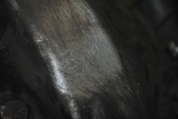 фото thumb №6, Коробка передач механическая передач peugeot 307 2.0hdi 20mb01