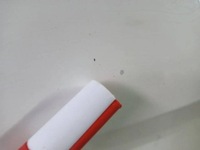 фото thumb №5, Двері правий перед skoda rapid seat toledo lf9e