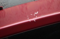 фото thumb №5, Крышка багажника багажника задняя ford ka mk2 ii