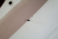 фото thumb №9, Бампер задняя задний lb9a pdc vw up 3d 11-20