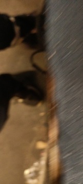 фото thumb №9, Ford c-max mk2 focus mk3 kuga радіо комплект європа am5t-18b955-cg