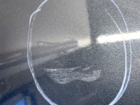 Крышка багажника задняя renault grand scenic 3 minivan gris eclipse met Киев, фото thumb