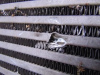 фото thumb №13, Радіатор інтеркулер bmw x3 f25 2.0d 17517823570