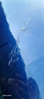 фото thumb №11, Бампер капот крылья mitsubishi outlander iii