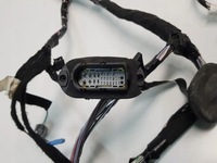 фото thumb №4, Джгут електропроводка панелі 241630898r megane iv 4