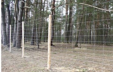 Siatka ogrodzeniowa leśna 160/11/15 L - rolka 50 m
