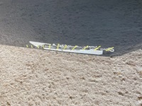 фото thumb №15, Mercedes atego двері передні ліва перед