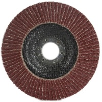 ОТКРЫТЫЙ ДИСК ОТКРЫТЫЙ ДИСК 125мм P60