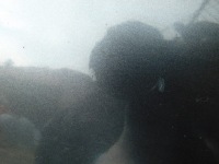 Капот крышка двигателя a8 d3 рестайлинг  2 09r lz7s с Разборки, фото thumb