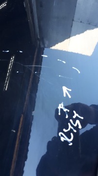 фото thumb №10, A5 8t рестайлинг дверь правые правый перед купе lz9y