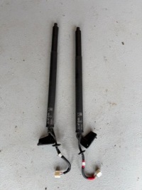 Купити Амортизатор привід електричний кришки задній renault austral 904519468r, фото thumb