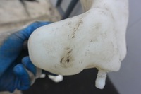 фото thumb №7, Бачок жидкость do омывателя mercedes w211 eu