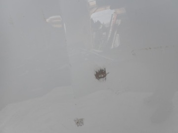 фото thumb №8, Renault megane e-tech электрический 22- капот крышка двигателя