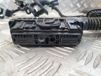 фото thumb №6, Renault megane e-tech 2022-2024 джгут електропроводка двері передніх лівих