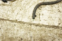 фото thumb №5, Na157 ford transit connect mk2 джгут інтер'єру