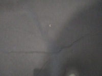 фото thumb №9, C4 cactus шумоізоляція стіни перегородки