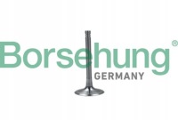 фото thumb №1, Клапан всмоктуючий borsehung do audi a5 3.0 s5