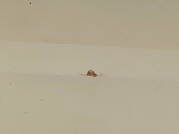 фото thumb №9, Двері обшивка правий зад праві задні fiat grande punto хетчбек 199_