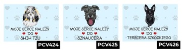TABLICZKA PCV NIEBIESKI 22X15CM MOJE SERCE NALEŻY DO BEAGLE PREZENT WZORY