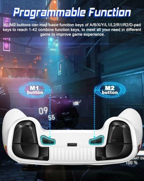 PAD DO NINTENDO SWITCH / Lite / OLED / PC / iOS / Android programowalny
