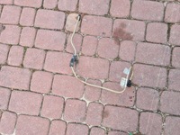 фото thumb №1, Шланг топливный fiat doblo ii 2 51924791