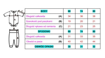 Детский комплект с цветочками, размер 80, боди + шорты.