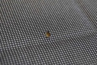 фото thumb №8, Сиденье сиденья комплект eu vw up 3d 11-20