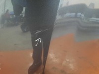 фото thumb №7, Toyota rav 4 v 19- suv капот передня перед