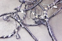 фото thumb №6, Jq110 ford puma ii mk2 жгут салона кабины