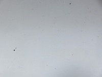 фото thumb №9, Кришка багажника багажника kia sportage iii wd