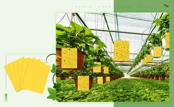 ДОСКИ ДЛЯ НАКЛЕЙКИ, ЖЕЛТАЯ БУМАГА ДЛЯ ВИШНЕВЫ, ЛОВУШКИ ДЛЯ НАСЕКОМЫХ, 74 шт.