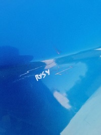 фото thumb №10, Крыло правый перед honda frv fr-v b520p 04-09