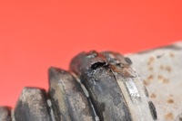 фото thumb №6, Приводной вал правая задняя механическая коробка передач 396004652r dacia duster 1 i 1.5 dci 110 km 4x4 13-17