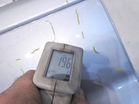 фото thumb №11, Дверь правые зад lx7w audi a3 8p sportback