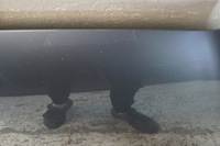 фото thumb №11, Капот крышка двигателя opel zafira b