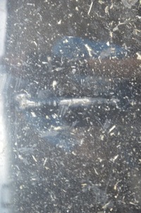 фото thumb №10, Audi a6 c6 kombi бампер задняя pdc lz9y