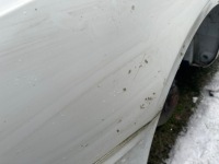 фото thumb №10, Крыло четверть правый задняя audi a5 8t sportback белый lubelskie