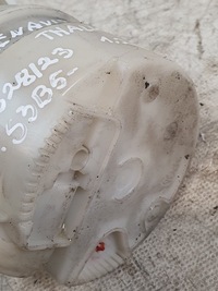 фото thumb №12, Насос топлива оригинальный номер 82 00 683 209 renault thalia ii 1.2b 10r.