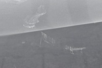 фото thumb №7, Seat ibiza iv дверь правый перед передние 3d kpl