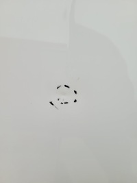 фото thumb №5, Капот кришка двигуна opel grandland x 17- yp001535