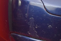 фото thumb №12, Бампер перед переднее тёмно-синий opel astra 3 iii h 04-07