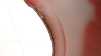 фото thumb №12, Крило праве перед передній mazda 3 bm 13-16r