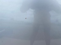 фото thumb №4, Renault laguna ii крышка багажника капот передняя teb64